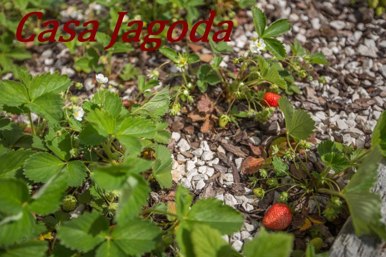 Višnjan Casa Jagoda מראה חיצוני תמונה